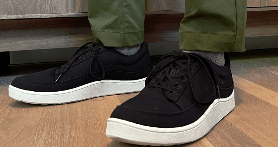 From Wool to Web: The Audacious Rebirth of Allbirds as “NewBird AI”